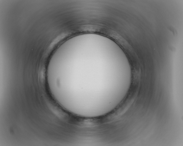 X0000114000064200910161719