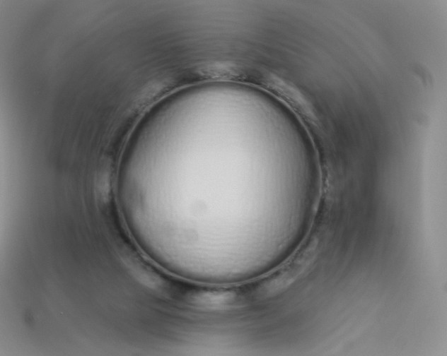 X0000114000065200910161719