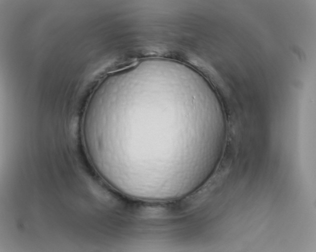 X0000114000066200910161719