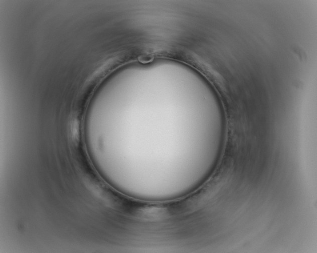 X0000114000067200910161719