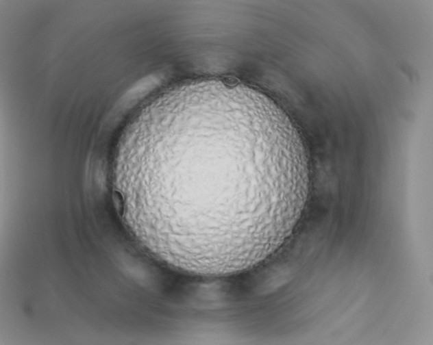 X0000114000068200910161719