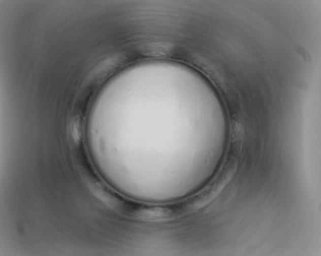 X0000114000069200910161719