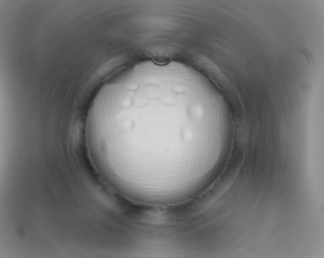 X0000114000071200910161719