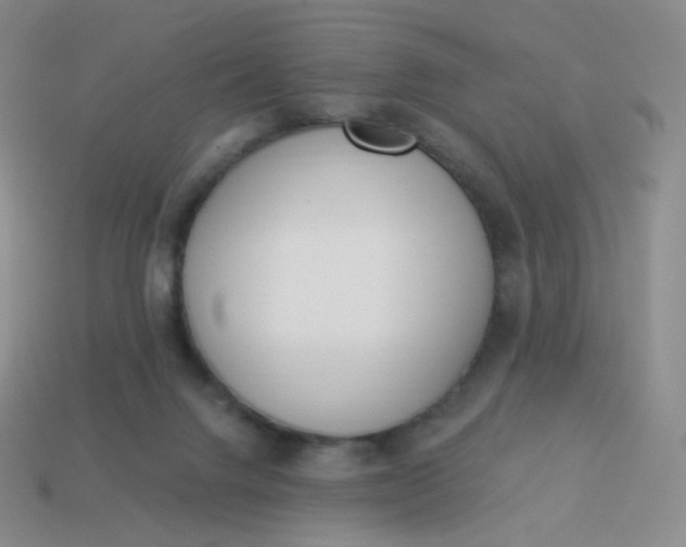 X0000114000072200910161719