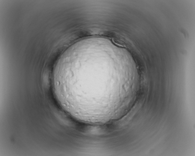 X0000114000074200910161719