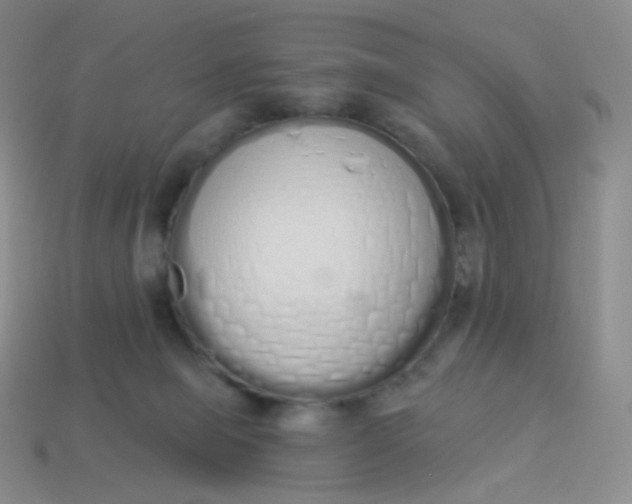 X0000114000077200910161719