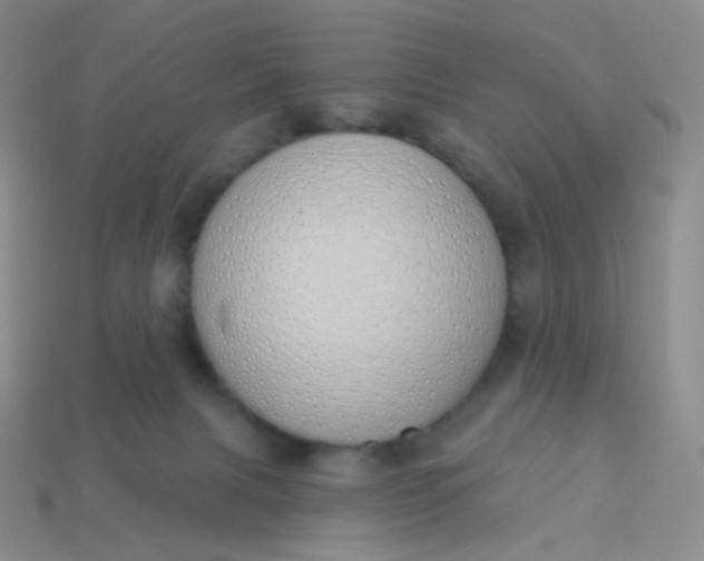 X0000114000079200910161719
