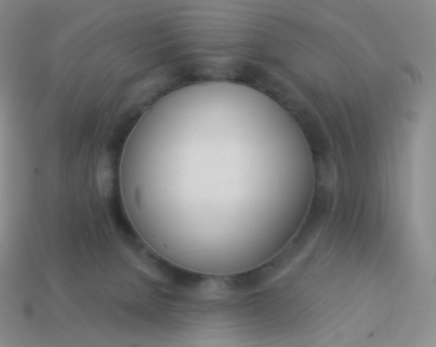 X0000114000080200910161719