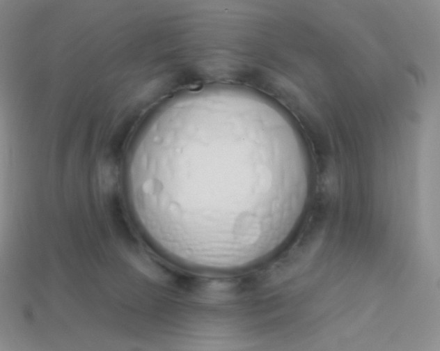 X0000114000081200910161719
