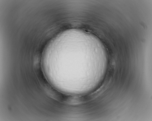 X0000114000082200910161719