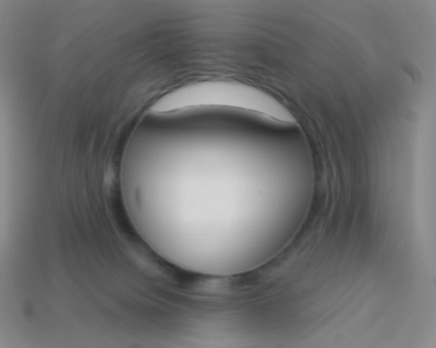 X0000114000084200910161719