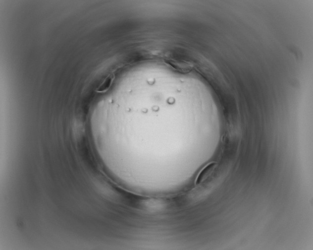 X0000114000085200910161719