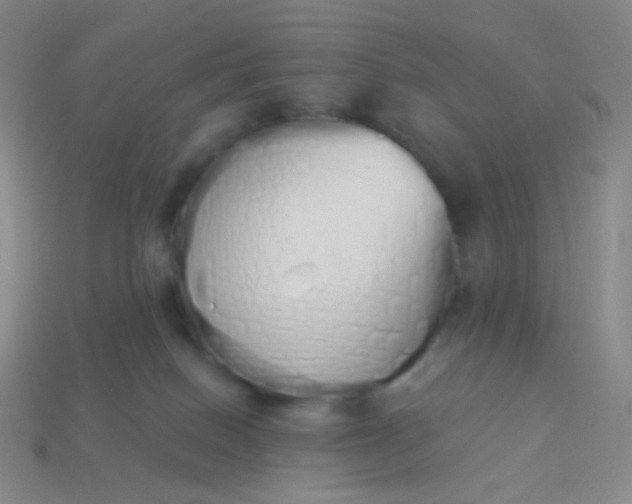 X0000114000086200910161719