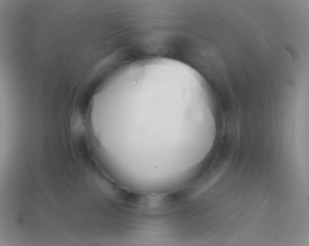 X0000114000089200910161719