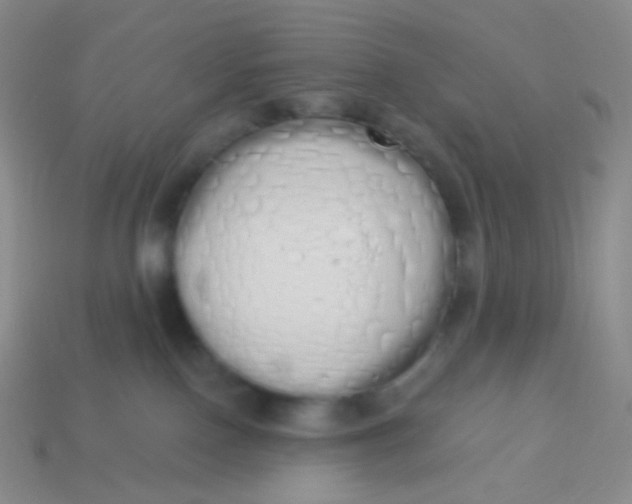 X0000114000090200910161719