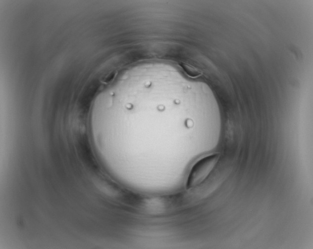 X0000114000091200910161719