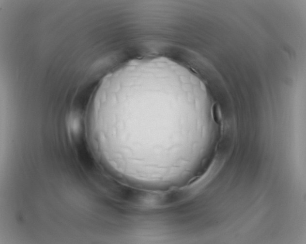 X0000114000094200910161719