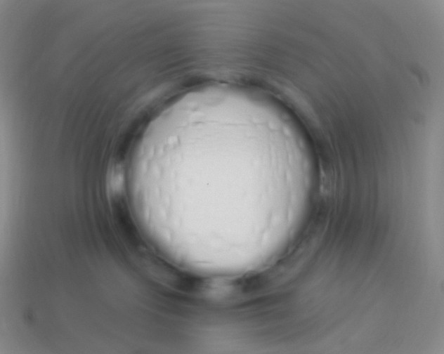 X0000114000095200910161719