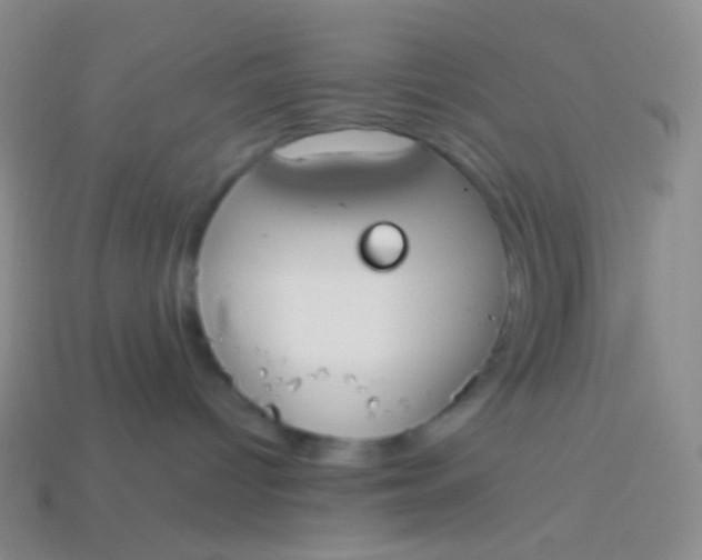 X0000114000096200910161719