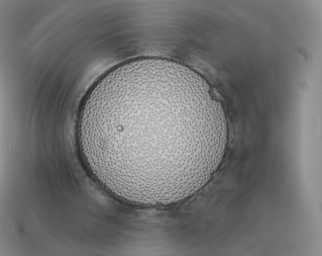 X0000114000098200910161719