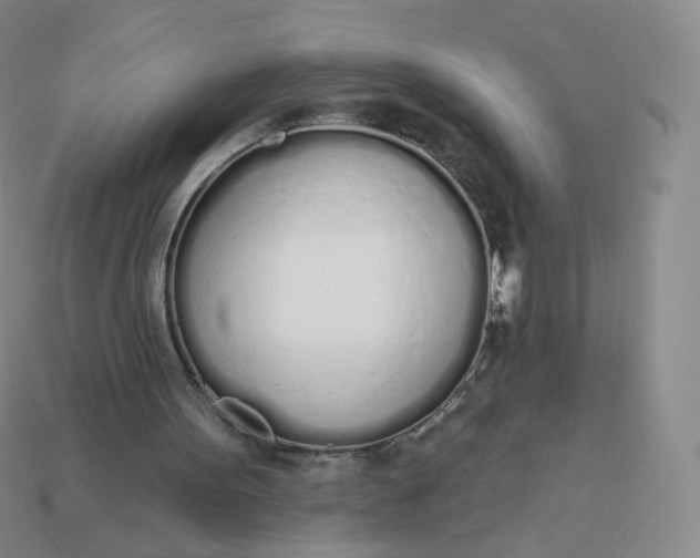 X0000114000099200910161719