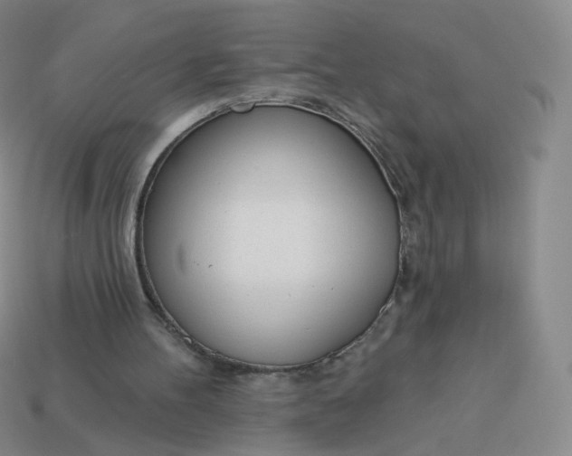X0000114000100200910161719