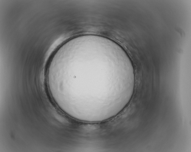 X0000114000102200910161719