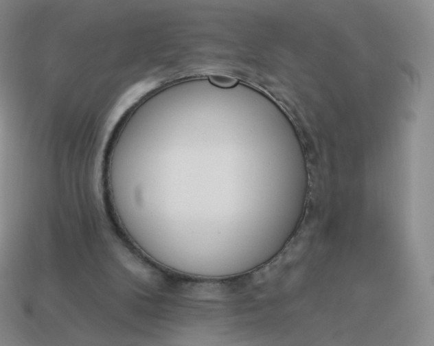 X0000114000104200910161719