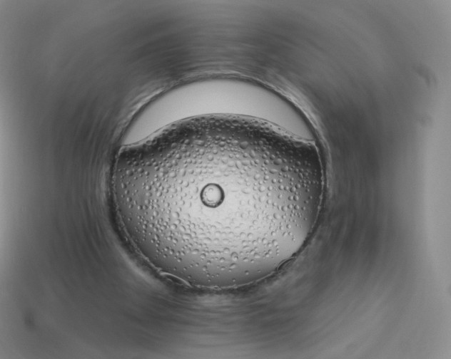 X0000114000105200910161719