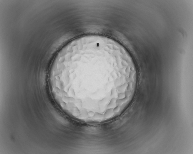 X0000114000106200910161719