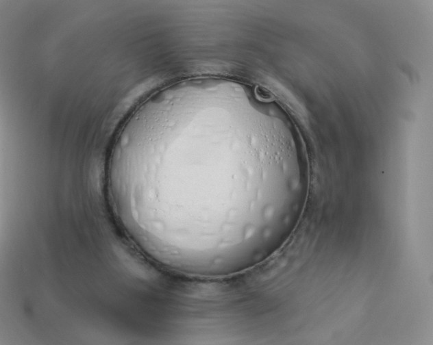 X0000114000107200910161718