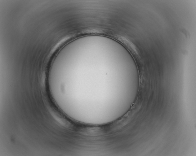 X0000114000108200910161718