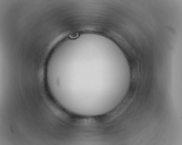 X0000114000112200910161718