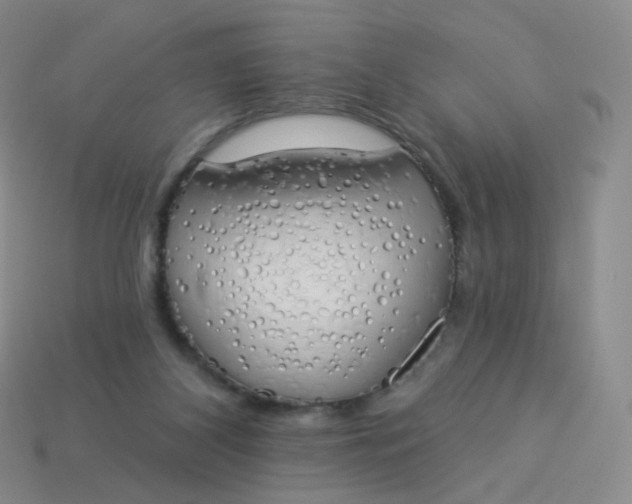 X0000114000116200910161718