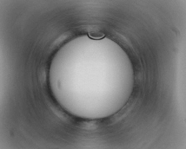 X0000114000120200910161718