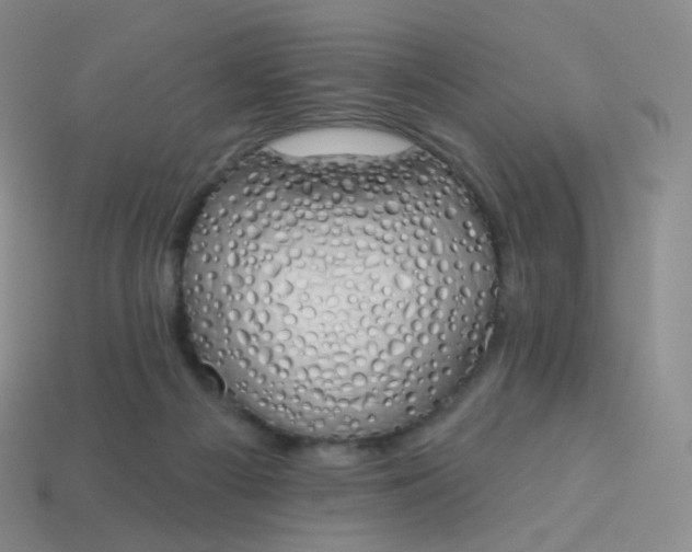 X0000114000121200910161718