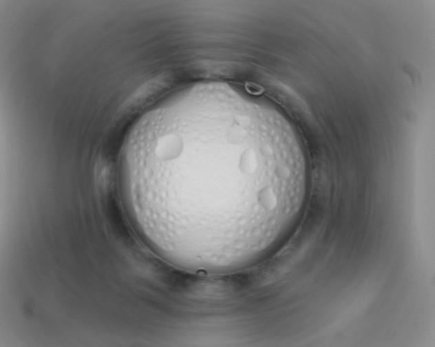 X0000114000123200910161718