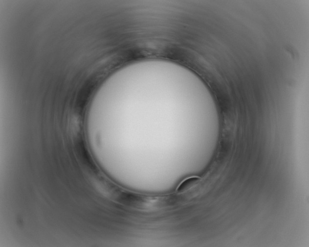 X0000114000130200910161718