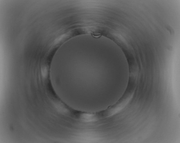 X0000114000139200910161718