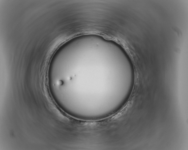X0000114000145200910161717