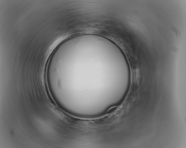 X0000114000147200910161717