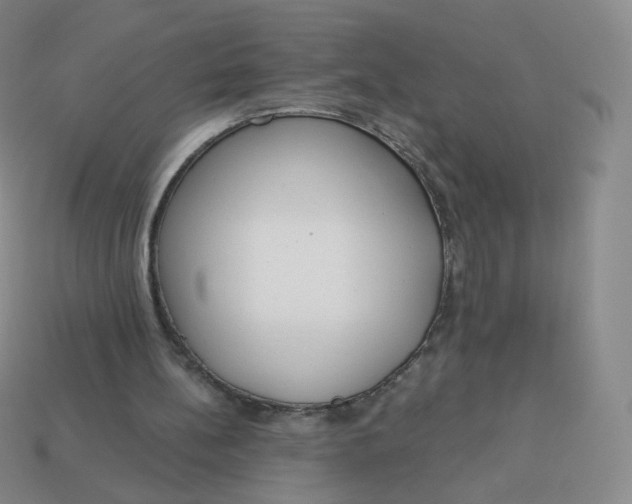 X0000114000148200910161717