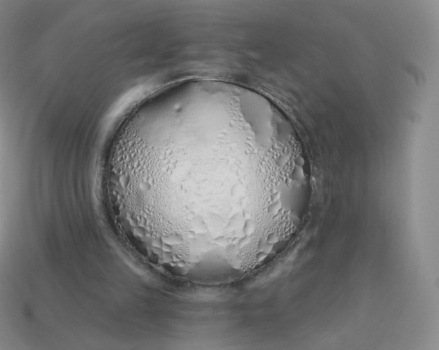 X0000114000149200910161717