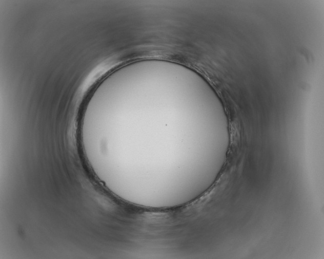 X0000114000150200910161717