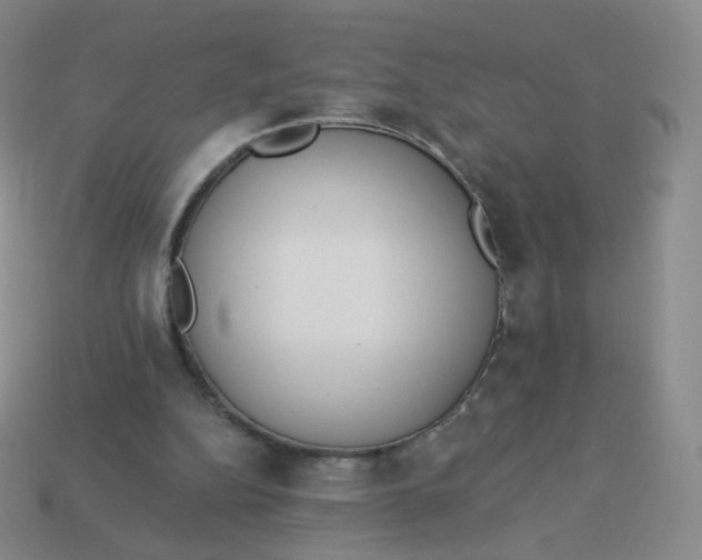 X0000114000152200910161717