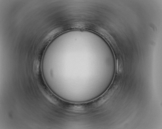 X0000114000157200910161717