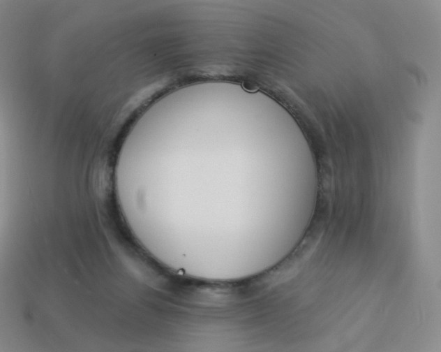 X0000114000164200910161717