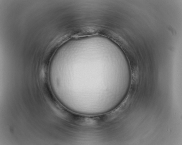 X0000114000166200910161717