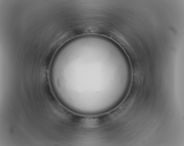 X0000114000169200910161717
