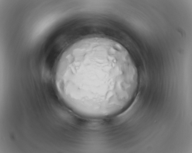 X0000114000191200910161718